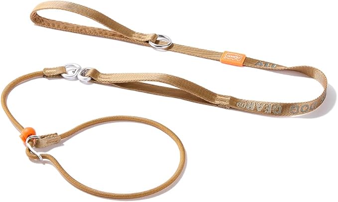 HowGo Slip Lead Dog Leash with Double Handles | Reflective Dog Training Leash with 360° Swivel Anti-Tangle | Heavy-Duty Lead and Collar for Large Medium and Small, No-Pull Walking (Brown, 5.5FT)