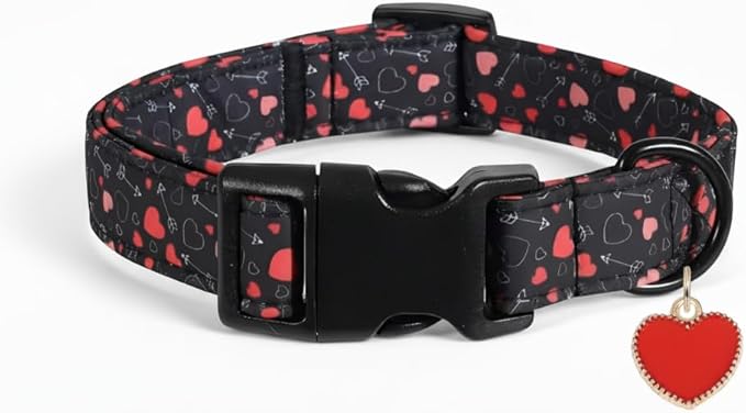 Valentin Dog Collar, Medium Dog Collar with Red Hearts, Pet Collar Boy with Charm and Buckle, Adjustable for Medium Dogs