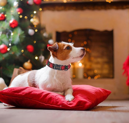 Unique style paws Dog Collar Metal Buckle Puppy Collar for Winter Christmas Red Green Plaid for Small Medium Large Boys Girls Dogs