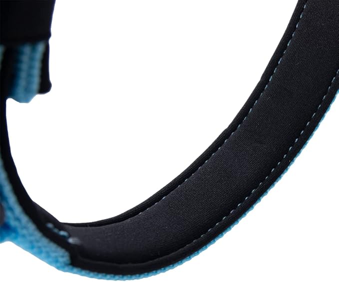 EXCELLENT ELITE SPANKER Reflective Dog Collar Classic Soft Padded Breathable Nylon Adjustable Pet Collar with Quick Release Buckle for Boy Girl Male Female Puppies Small Medium Large Dogs(LBLU-M)