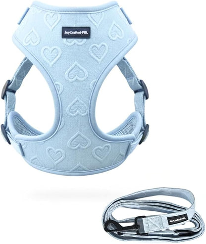 No-Pull, No-Choke Dog Harness & Leash Set – Stylish & Fun – Lightweight, Breathable Neoprene – Unique Heart Pattern – Adjustable for Extra Small to Medium Dogs (Harness Leash Set-Blue, XX-Small)
