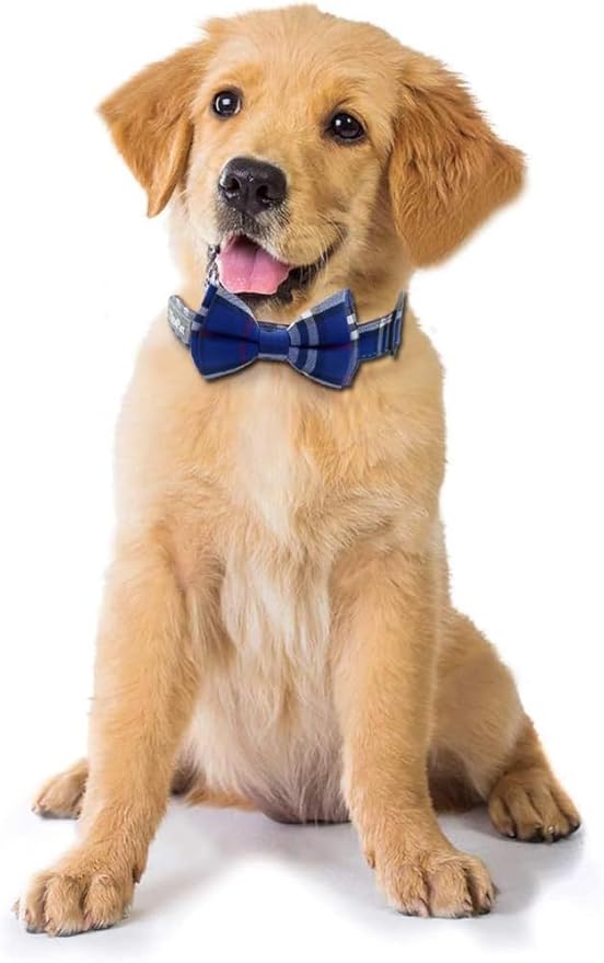 Yizepet Dog Collar with Bow Tie- Adjustable pet Collar for Dogs with Plastic Buckle Collar, Stylish Pattern for Small Medium or Large Boy and Girl Dog and Cat