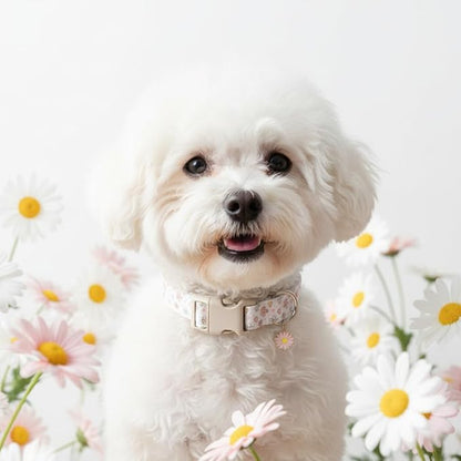Dog Collar, Floral Dog Collar with Flower Daisy Pattern, Spring Summer Design for Small Medium Dogs, S