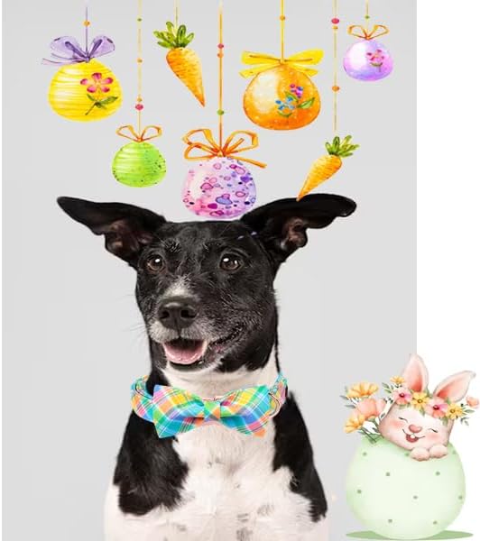 Unique style paws Easter Dog Collar with Bow Easter Eggs Chicken Collar with Flower for Small Medium Large Boys Girls Dogs