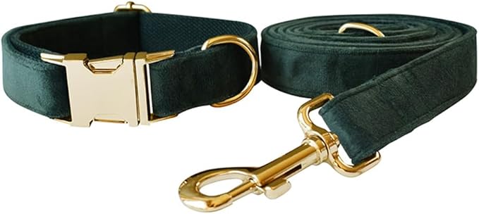 JAY D.L Dog Collar and Leash Set，Soft & Comfy Velvet Dog Collars with Heavy Duty Metal Buckle and Matching Lead Adjustable for Small Medium Large Dogs (Small, Green)