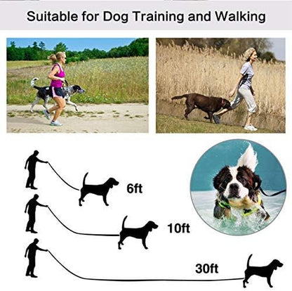 10ft Blue Dog Leashes - Obedience Recall Training Agility - Strong Traditional Style Extra Long Leads for Large, Medium & Small Dogs - Great for Parks,Fetch,Backyard & Camping(10FT, Blue)