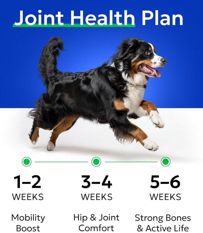 BARK&SPARK Glucosamine Chondroitin Dog Hip & Joint Supplement - Joint Pain Relief - Hip & Joint Chews - Joint Support Large Small Breed - Senior Doggie Vitamin Pill Joint Health (180 Treats - Bacon)
