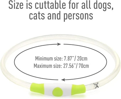 Colaseeme LED Dog Collar Light Up Dog Collars 1 Count USB Rechargeable TPU Glow Safety Basic Dog Collars for Large Medium Small Dogs (Green + Blue)