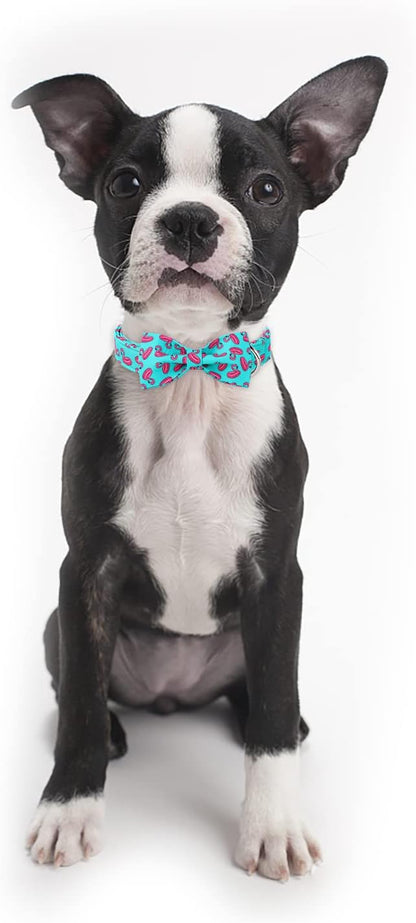Summer Dog Collar with Bow Tie, Cute Flamingo Float Bowtie Dog Collar, Durable Adjustable Cotton Pet Collar for Small Medium Large Dogs