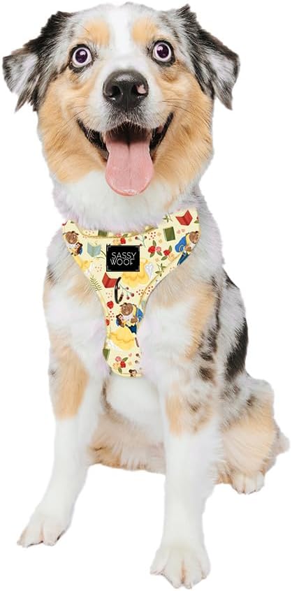 Sassy Woof Dog Adjustable Harness - Disney Princess Beauty and The Beast Belle - M, Breathable Mesh, No Pull Design with Two D-Rings, Perfect for Medium Dogs - Officially Licensed