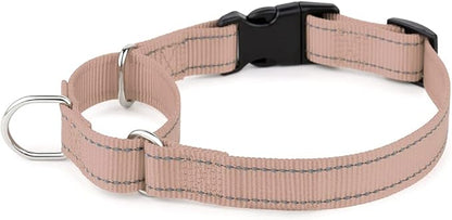 Plutus Pet Reflective Martingale Collar with Buckle - Durable and Adjustable Training Collar for No Pulling, Dog Choker Collar for Small Medium Large Dogs, Beige, XS