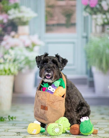 Nocciola Squeaky Fruits Veggies Stuffed Dog Toys Pack- Hide Seek Grocery Basket Crinkle Plush Puppy Toys to Keep Busy, Birthday Pet Supplies Gifts for Small Medium Breeds