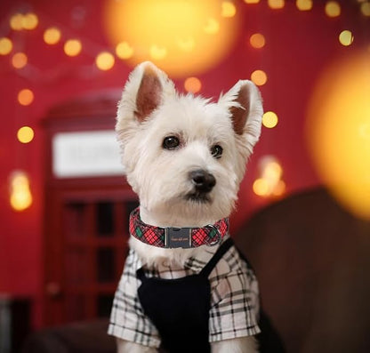 Unique style paws Dog Collar Metal Buckle Puppy Collar for Winter Christmas Red Green Plaid for Small Medium Large Boys Girls Dogs