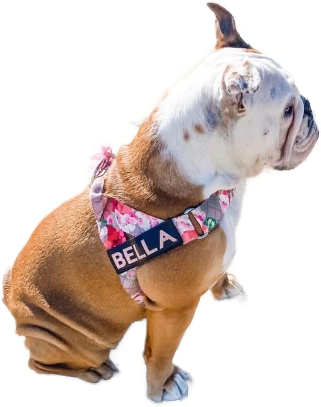BULLHUG Adjustable Dog Harness– No Pull, No Choke – for English Bulldogs, French Bulldogs, Pugs & Broad-Chested Breeds – Easy, Safe Walks (Pink Floral, Medium)