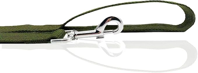Nylon Dog Leash 10 Feet Long, Walking Training Dog Leashes for Medium Large Dogs, 1 Inch Wide (Green)