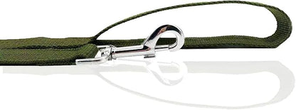 Nylon Dog Leash 10 Feet Long, Walking Training Dog Leashes for Medium Large Dogs, 1 Inch Wide (Green)