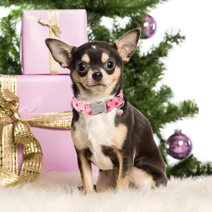 Unique style paws Valentine's Day Dog Collar Plastic Buckle Collar with Pendant Love Letter Lock Gift Wedding Small Medium Large Boys Girls Dogs