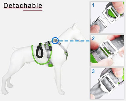 Paawpal Adjustable Dog Harness - No Pull, Reflective, Soft Padded for Small, Medium, Large Dogs - Includes Leash Green XL