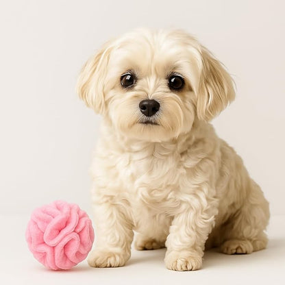 Glory To Dog Puppy and Small Breed Snuffle Interactive Foraging Dog Puzzle Ball Toy Blue Small
