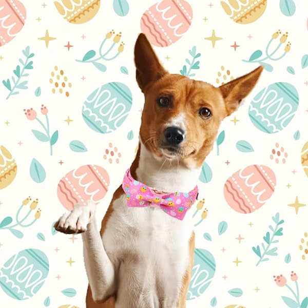 Unique style paws Easter Dog Collar with Bow Easter Eggs Chicken Collar with Flower for Small Medium Large Boys Girls Dogs