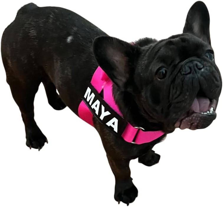 BULLHUG Adjustable Dog Harness– No Pull, No Choke – for English Bulldogs, French Bulldogs, Pugs & Broad-Chested Breeds – Easy, Safe Walks (NEON Pink, XL)