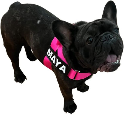 BULLHUG Adjustable Dog Harness– No Pull, No Choke – for English Bulldogs, French Bulldogs, Pugs & Broad-Chested Breeds – Easy, Safe Walks (NEON Pink, Medium)