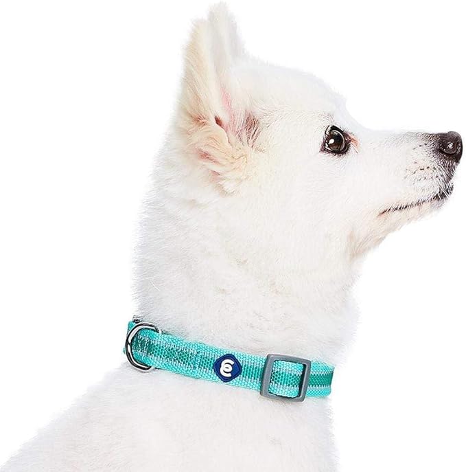 Blueberry Pet Essentials Matching Small Dog Collar | Adjustable Classic Solid Color Nylon Dog Collars for Small Dogs | Reflective Minty Green Dog Collar for Small Dogs