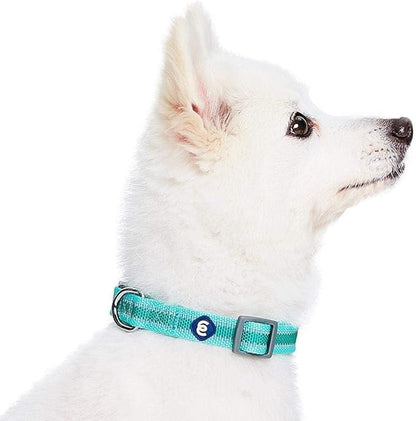 Blueberry Pet Essentials Matching Small Dog Collar | Adjustable Classic Solid Color Nylon Dog Collars for Small Dogs | Reflective Minty Green Dog Collar for Small Dogs