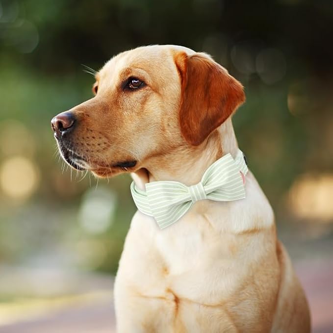 ARING PET Dog Collars with Bow, Green Stripe Adjustable Bowtie Pet Collar with Metal Buckle for Small Medium Large Boy Girl Dogs-S