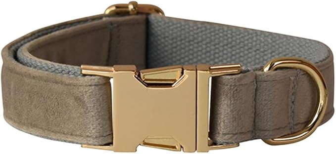 JAY D.L Dog Collar and Leash Set，Soft & Comfy Velvet Dog Collars with Heavy Duty Metal Buckle and Matching Lead Adjustable for Small Medium Large Dogs (Small, Grey)