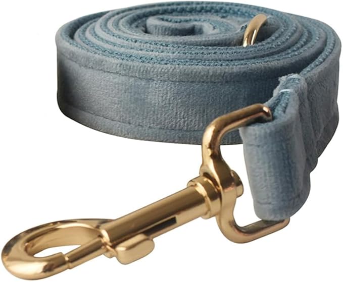 JAY D.L Dog Collar and Leash Set，Soft & Comfy Velvet Dog Collars with Heavy Duty Metal Buckle and Matching Lead Adjustable for Small Medium Large Dogs (Large, Noidic Blue)