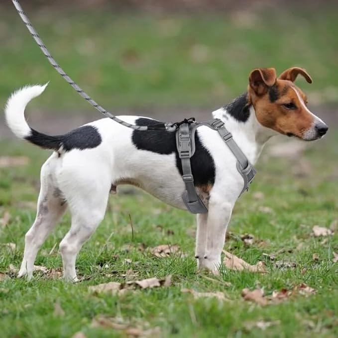 Paawpal Adjustable Dog Harness - No Pull, Reflective, Soft Padded for Small, Medium, Large Dogs - Includes Leash Silver XL