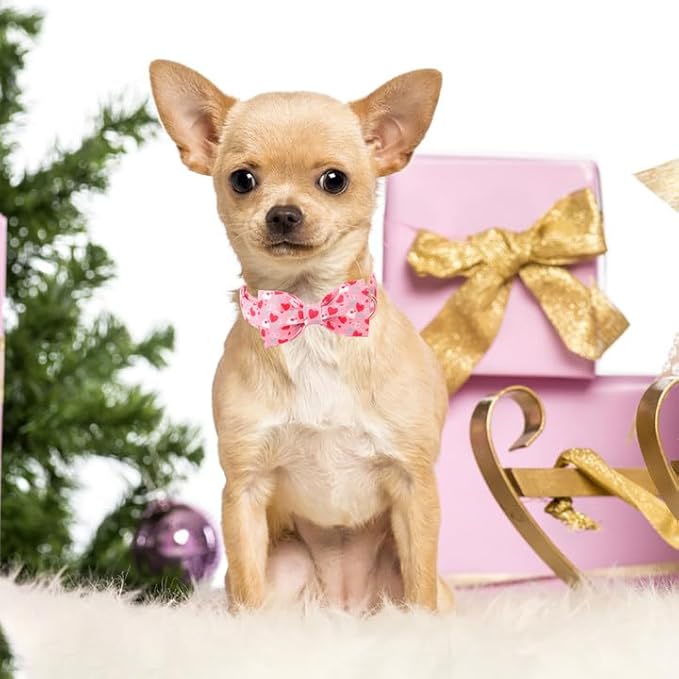 Unique Style Paws Valentine's Dog Collar with Bow Love Letter Lock Cotton Puppy Collars Wedding for Small Medium Large Dogs