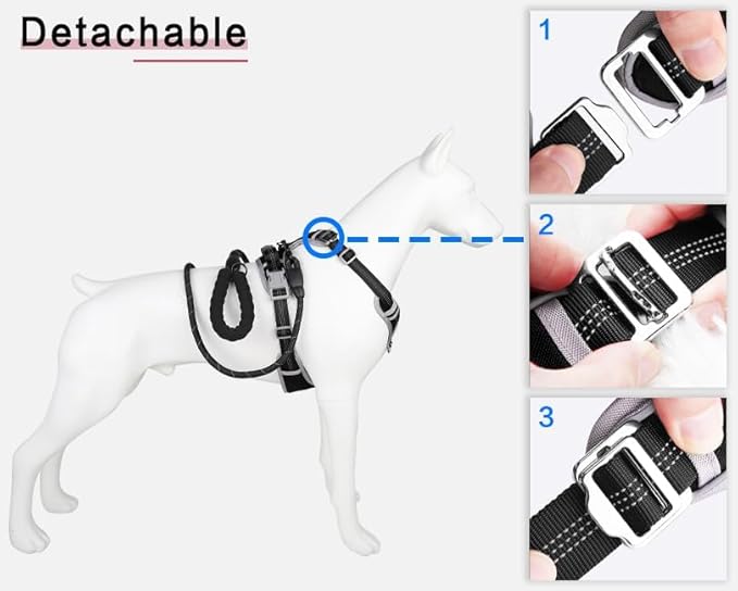Paawpal Adjustable Dog Harness - No Pull, Reflective, Soft Padded for Small, Medium, Large Dogs - Includes Leash Black M