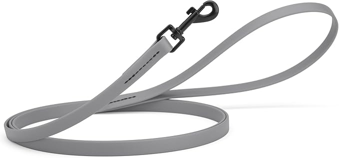 Dogline Biothane Waterproof Dog Leash Strong Coated Nylon Webbing with Black Hardware Odor-Proof Easy to Clean High Performance for Small or Large Dogs Made in USA 4 or 6 ft Lead, Battleship Gray