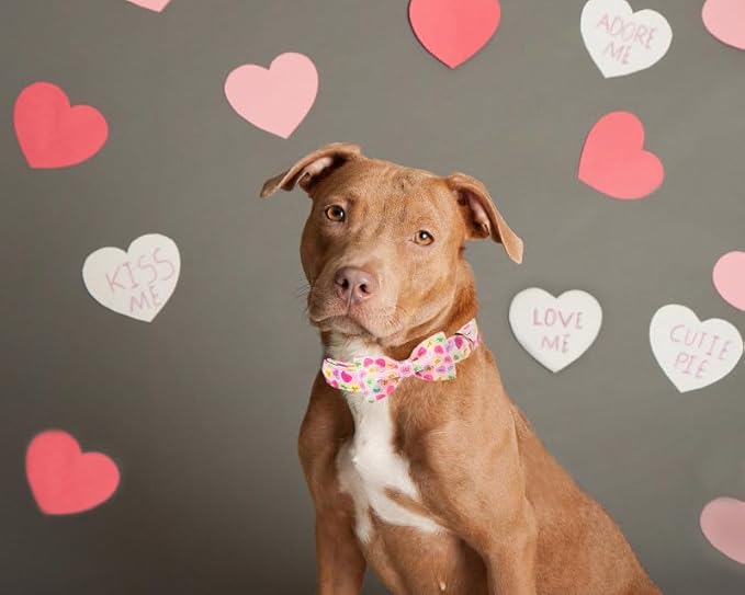 Lionet Paws Valentine's Pink Dog Collar, Cute Heart Dog Collar for Small Dogs, Adjustable Cotton Pet Puppy Collars for Small Dogs