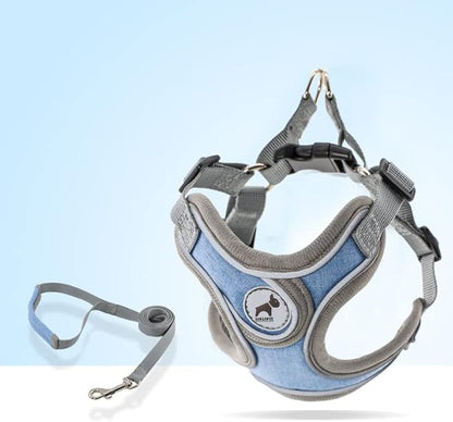 Dog Harness with Leash Set, Adjustable Step in Collars Harness with Breathable Padded Vest for Small Medium Large Dogs Training and Running(L, Blue)