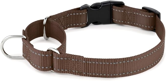 PLUTUS PET Reflective Martingale Collar with Quick Snap Buckle,No Pull Dog Choker Collar for Small Medium Large Dogs, M, Chocolate