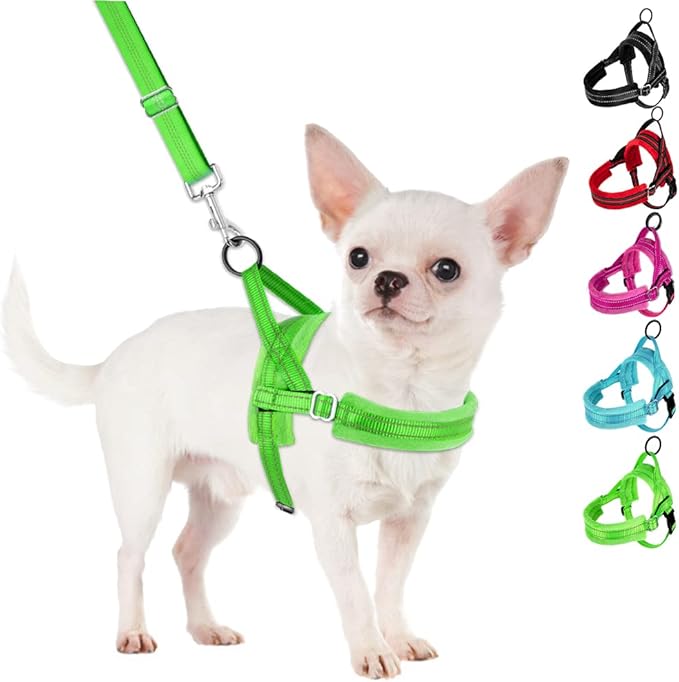 SlowTon No Pull Small Dog Harness and Leash Set, Puppy Soft Vest Harness Neck & Chest Adjustable, Reflective Lightweight Harness & Anti-Twist Pet Lead Combo for Small Medium Dogs(G,XXS)