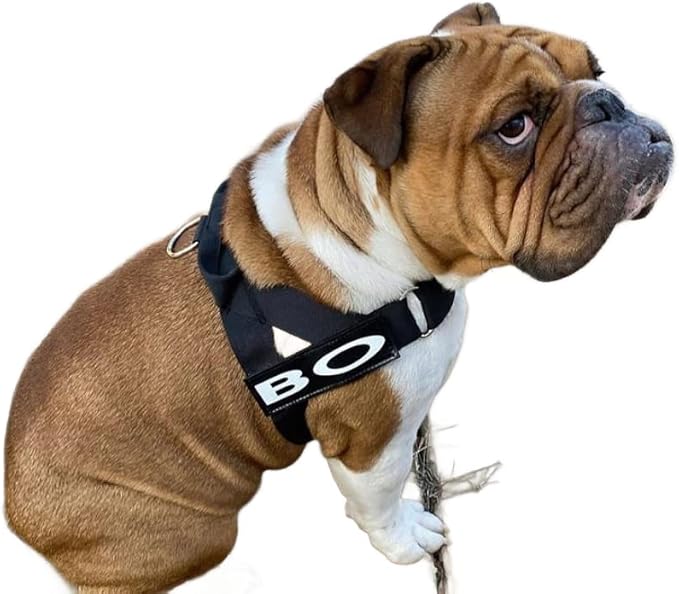BULLHUG Adjustable Dog Harness– No Pull, No Choke – for English Bulldogs, French Bulldogs, Pugs & Broad-Chested Breeds – Easy, Safe Walks (Black, Large)
