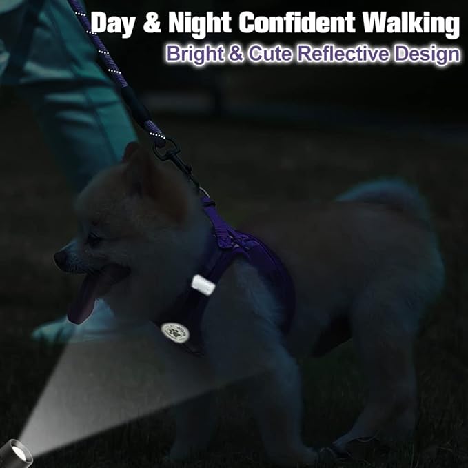 BEAUTYZOO Small Dog Harness and Leash Set,Step in No Choke No Pull Soft Mesh Dog Harnesses Reflective for Extra-Small Medium Puppy Dogs and Cats, Plaid Dog Vest Harness for XS S Pets, Purple XS