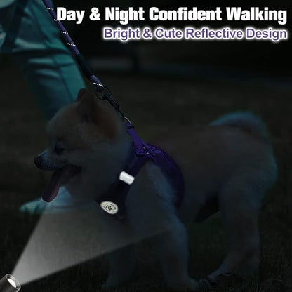 BEAUTYZOO Small Dog Harness and Leash Set,Step in No Choke No Pull Soft Mesh Dog Harnesses Reflective for Extra-Small Medium Puppy Dogs and Cats, Plaid Dog Vest Harness for XS S Pets, Purple XS