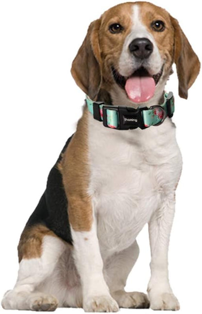 Ihoming Dog Collar and Leash Set for Daily Outdoor Walking Running Training, Floral Spring Design for Small Boys Girls Dogs Cats Pets, S-Up to 20LBS