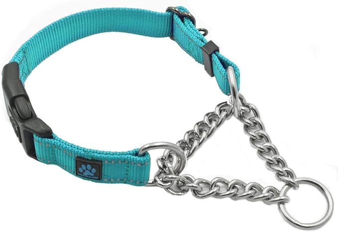 Max and Neo Stainless Steel Chain Martingale Collar - We Donate to a Dog Rescue for Every Collar Sold (Medium, Teal)