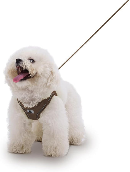 Adjustable Dog Harness with Leash, Reflective Mesh, No-Pull Design，Matching Lead Rope (Brown, XXXS)