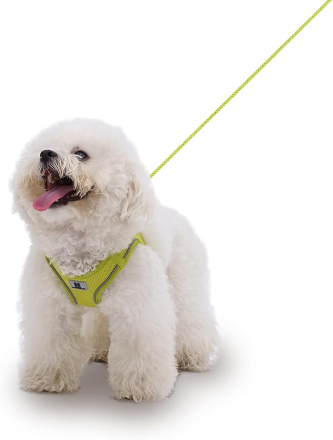 Adjustable Dog Harness with Leash, Reflective Mesh, No-Pull Design，Matching Lead Rope (Lemon Yellow, S)
