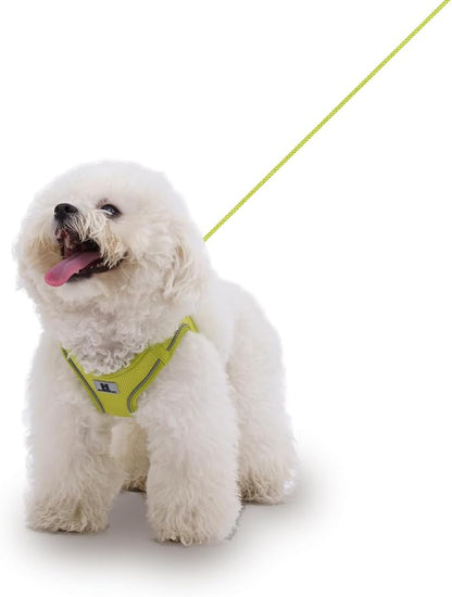 Adjustable Dog Harness with Leash, Reflective Mesh, No-Pull Design，Matching Lead Rope (Lemon Yellow, S)
