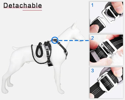 Dog Harness and Leash Set – Adjustable Dog Collar and Vest Harness for Dogs, Durable Pechera para Perros Medianos – Arnes Perro with Leash– S, M, L, XL Dog Harness and Leash Set
