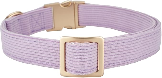 Soft Corduroy Dog Collar and Leash Set Adjustable Durable Dog Collars with Metal Buckle and Lead for Large Dogs,Lilac
