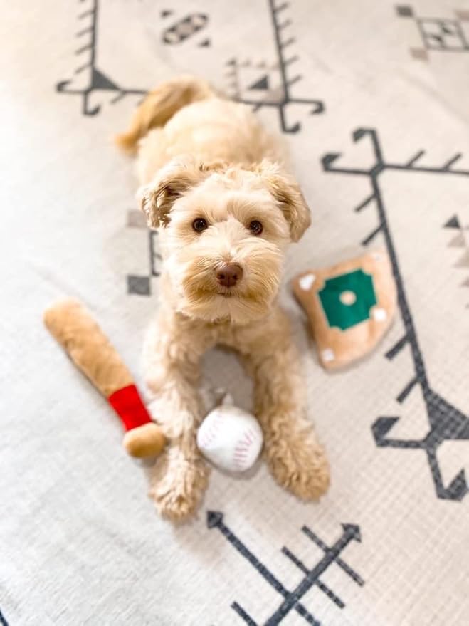 TONBO Cute Plush Dog Toys (Ball Park Combo)